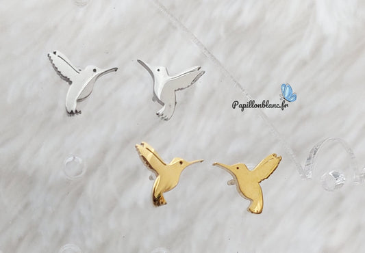 Puce d'oreilles Colibri