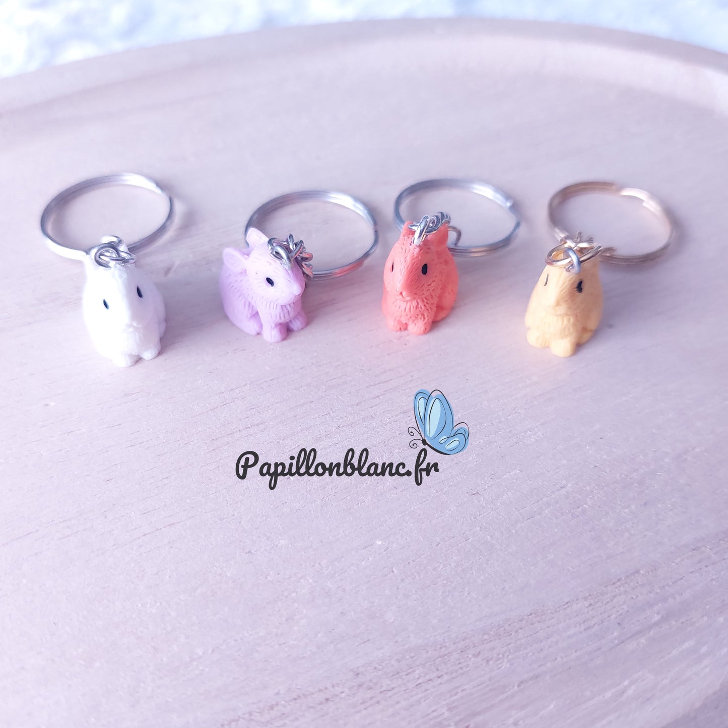 Porte clefs Lapin Coloré