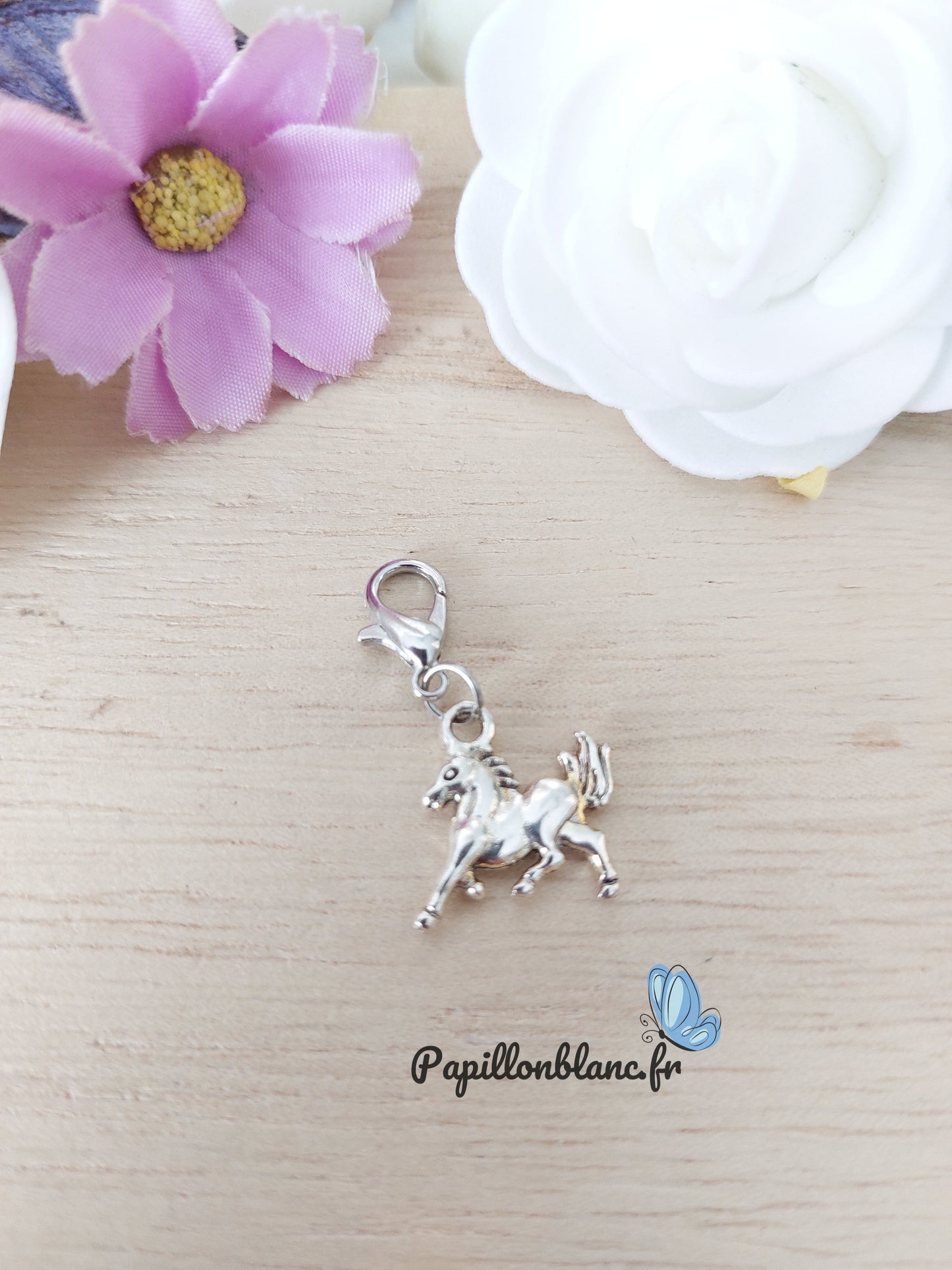 Charms Animaux